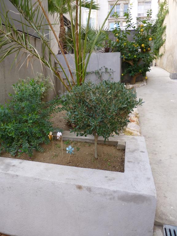 L'Orangeraie Et La Palmeraie D'Endoume Marseille Exteriér fotografie