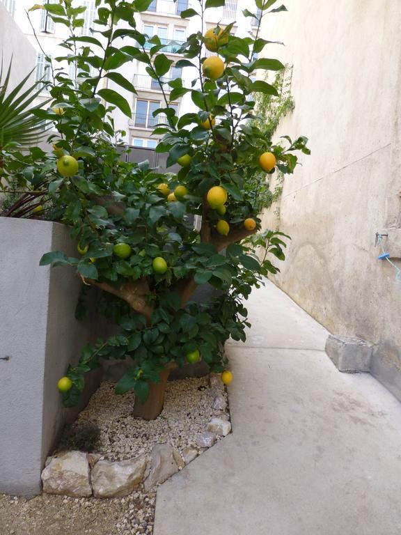 L'Orangeraie Et La Palmeraie D'Endoume Marseille Exteriér fotografie
