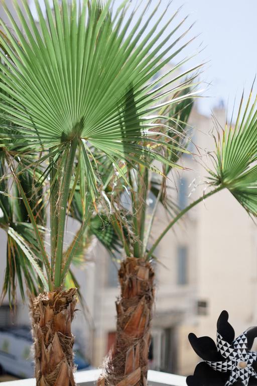 L'Orangeraie Et La Palmeraie D'Endoume Marseille Exteriér fotografie